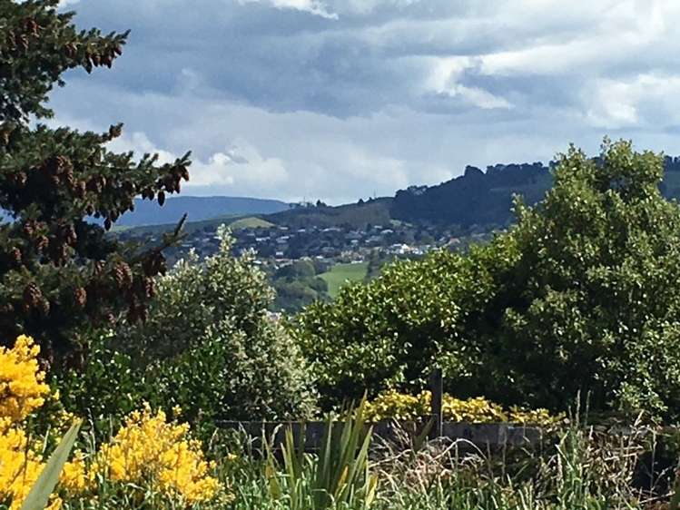 199 Highcliff Road Shiel Hill_2