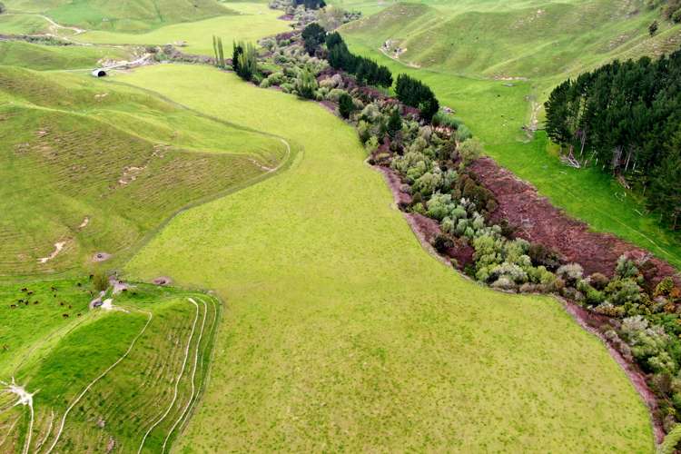 166 Airstrip Road Pikowai_22