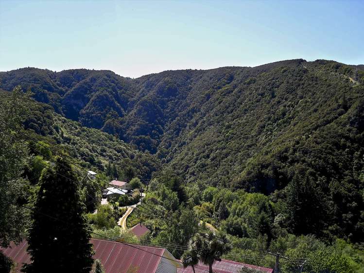 17 Tui Terrace Waipori Falls_3