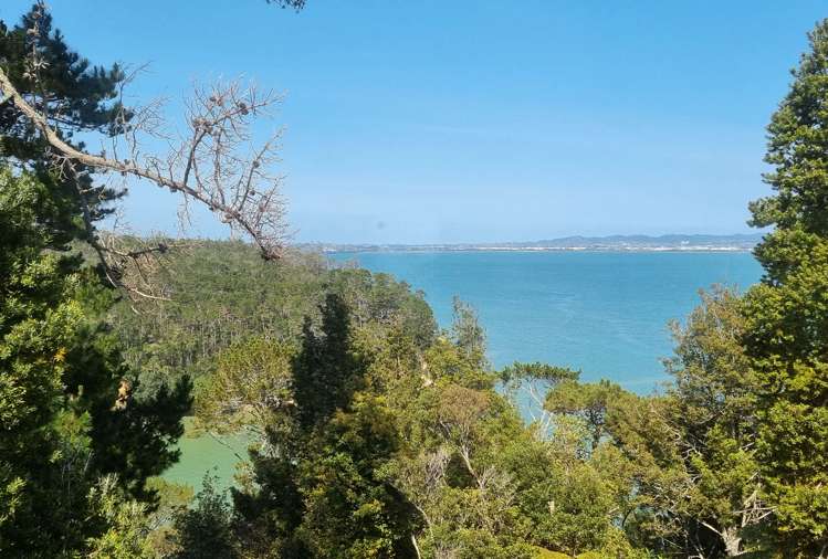 78 Island Bay Road Beach Haven_5