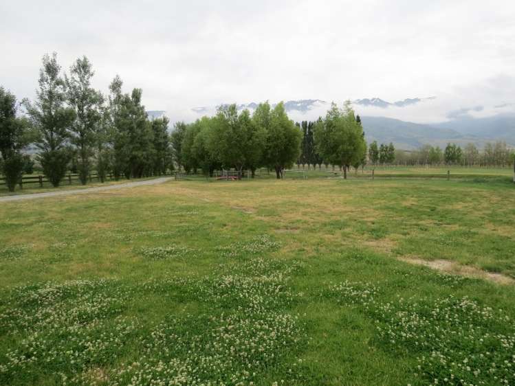 1180 Luggate - Cromwell Road Cromwell_10