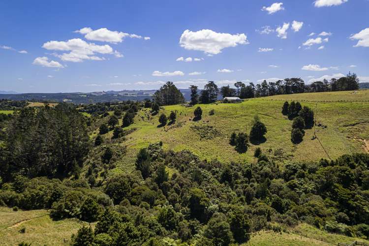 114 Hay Road Hukerenui and Surrounds_28