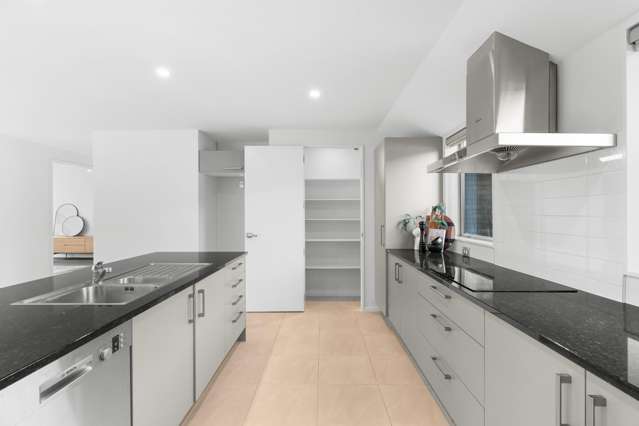 58 Platinum Drive Wigram_1