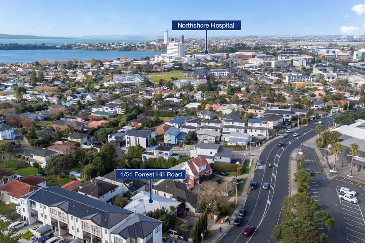 1/51 Forrest Hill Road Milford_19
