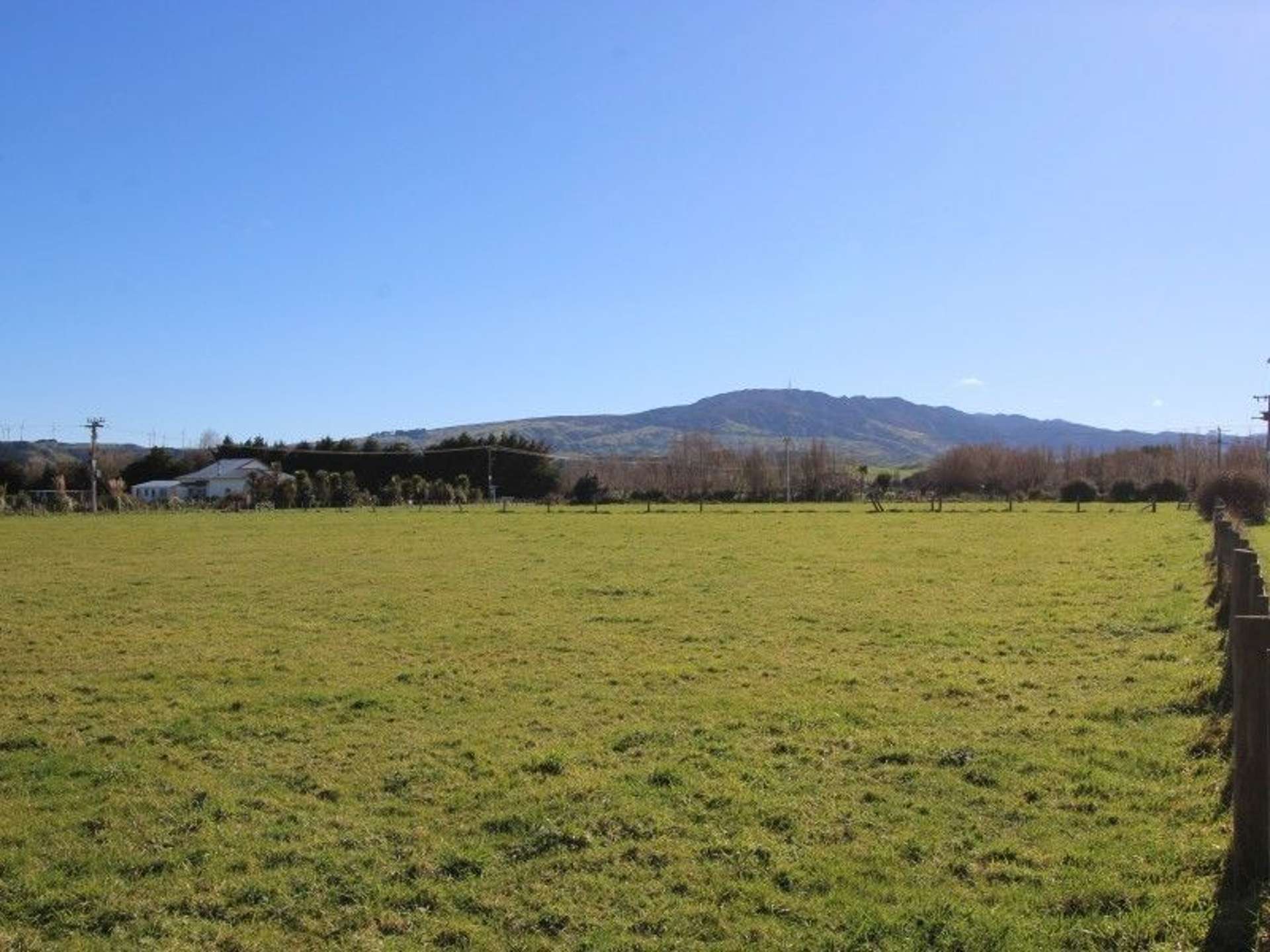 113 Grey Street Woodville_0