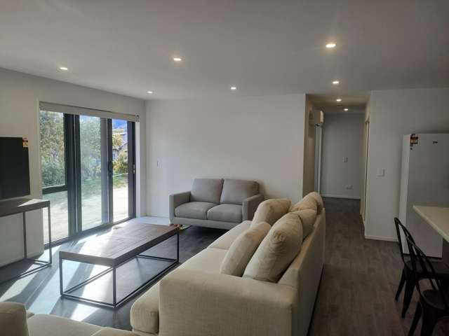 12B Humphrey Street Frankton_2