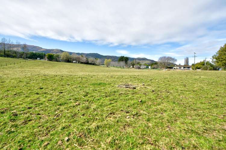 Braudigam Road East Tapanui_10