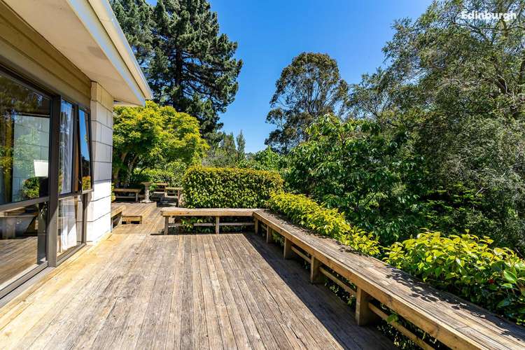 1 Leyden Terrace Andersons Bay_35