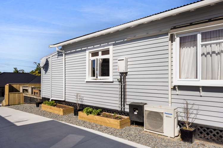 373 Carrington Street Upper Vogeltown_24