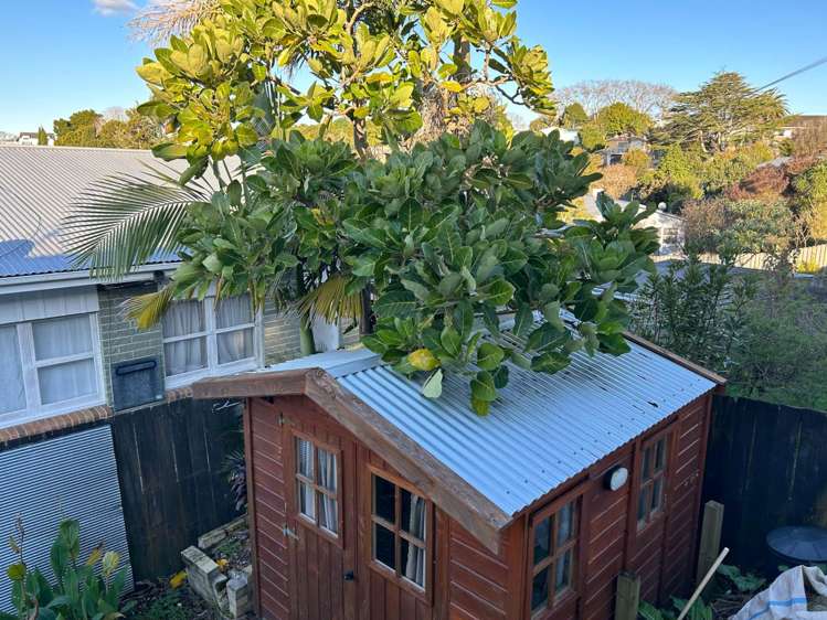 3/125A Birkdale Road Birkdale_9