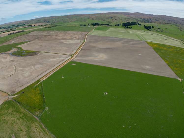 755-971 Linnburn Runs Road Paerau_6