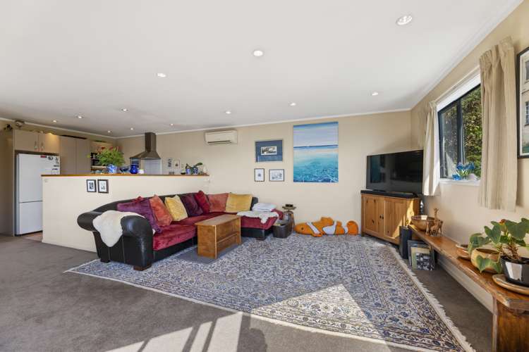 22a Mount Street Port Chalmers_5