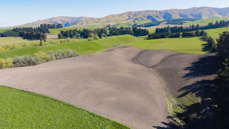 94 Douthwaites Road Waimate Surrounds_30