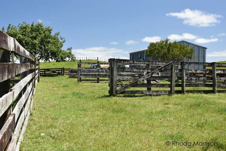 321 Heatley Road Whakapirau_27