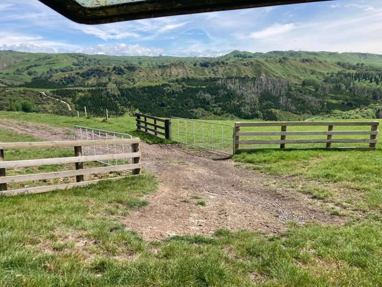 715 Te Apiti Road Waimarama_17