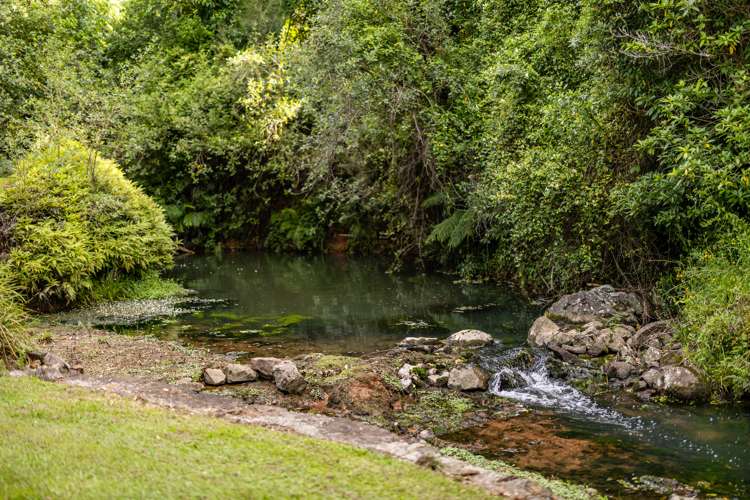 308 Waipapa Road Kerikeri Surrounds_6