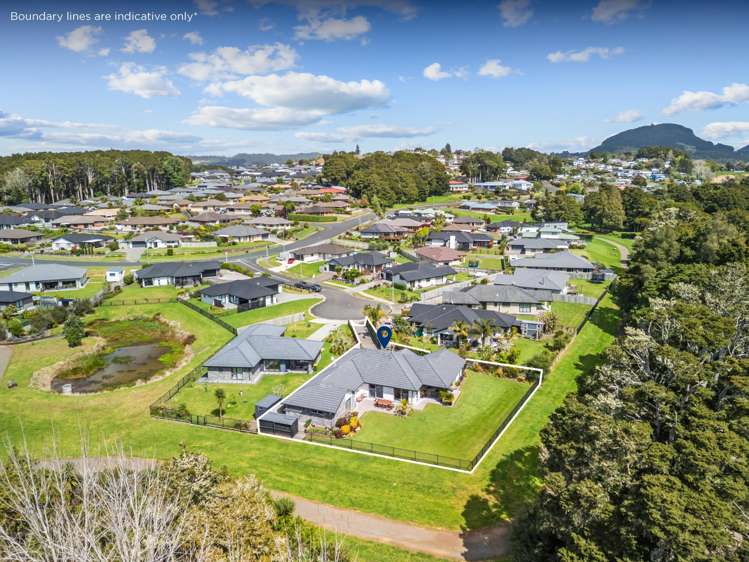 8 Wellingrove Place Te Kamo_40