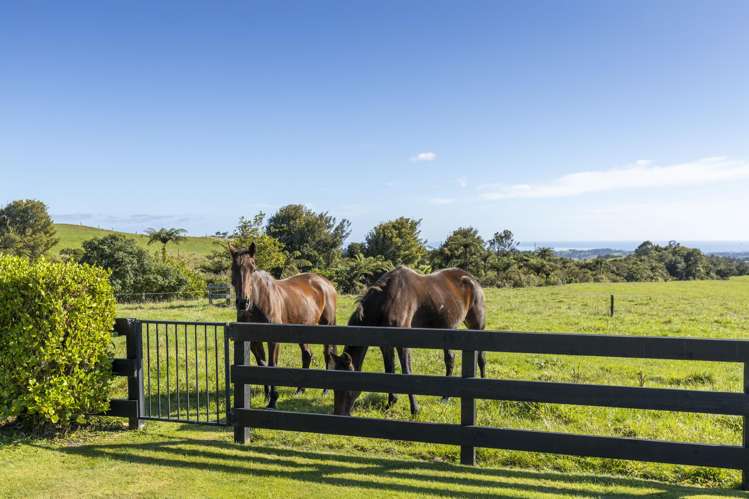 60 Maunga Heights Hurworth_30