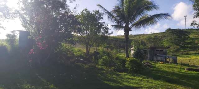 Lot 1 Benai Koronubu subdivision Ba_4