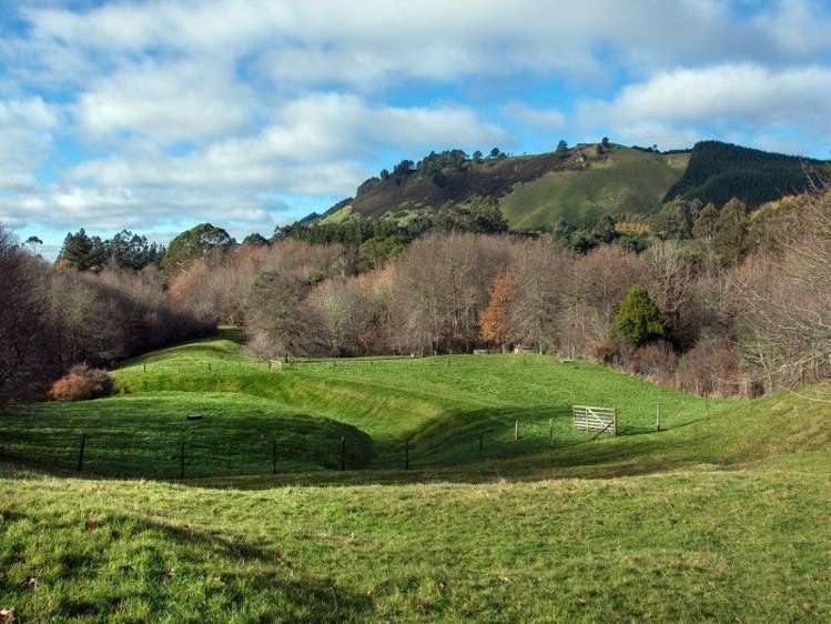 763 Paradise Valley Road Ngongotaha Valley_17