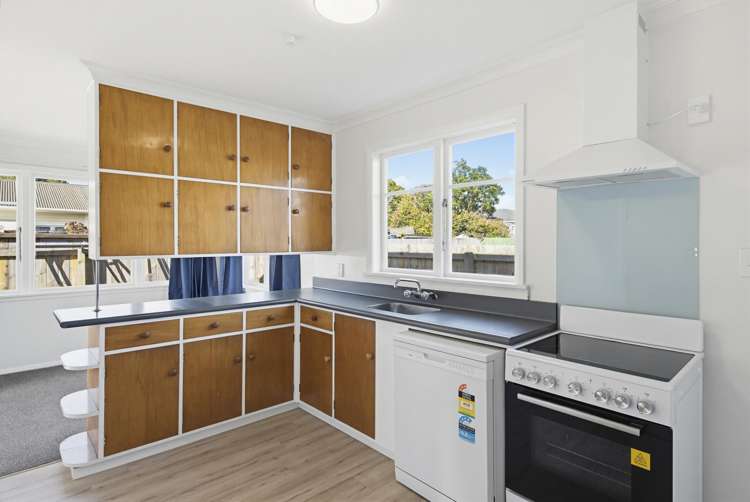 27 Elizabeth Street Levin_3