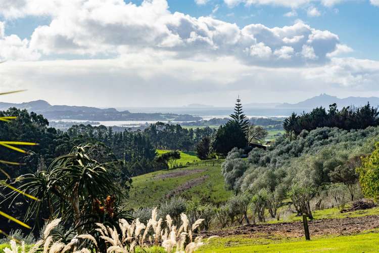 212 Staniforth Road Kaiwaka_19