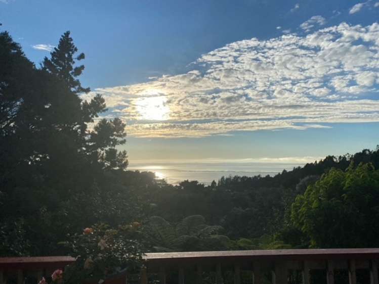 38 Rauhuia Crescent Parau_3