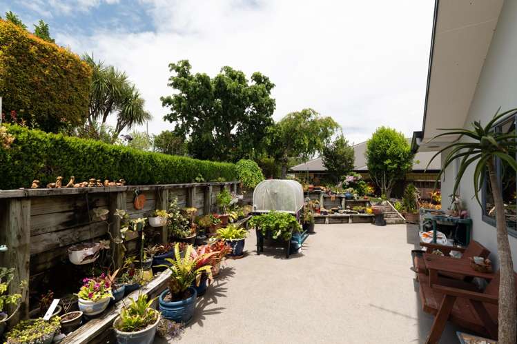 228 The Booms Avenue Thames_28