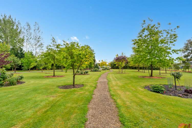 344 Hughes Line Carterton_30