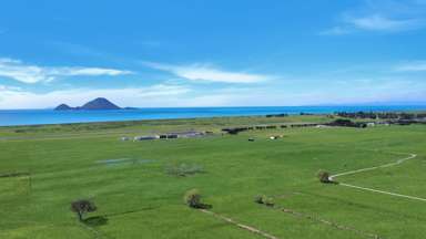 203A Aerodrome Road_3