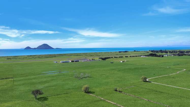 203A Aerodrome Road Thornton_3