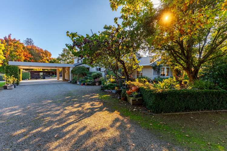338 Manaia Road Masterton_23