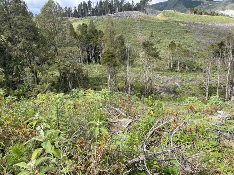 Iwitaua Road Kaitaia_3