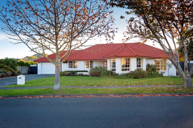 222 Auckland Road Greenmeadows_19