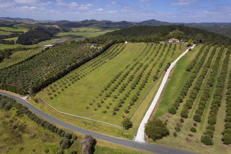 30 Leccino Valley Road Mangonui_22