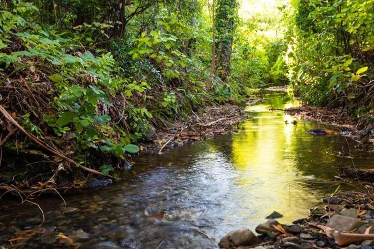 6 Kereru Grove Featherston_13