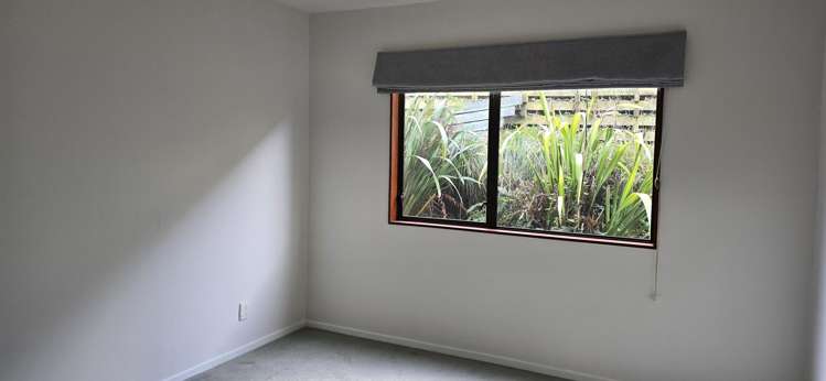 17 Watts Road Fernhill/Sunshine Bay_6