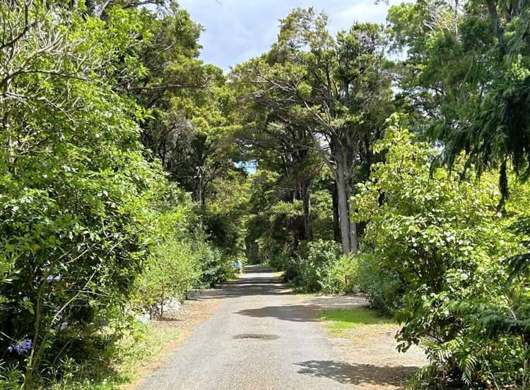 56 Totara Avenue Collingwood_23