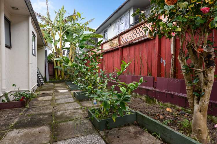 16a Abbotsford Street Whitiora_12