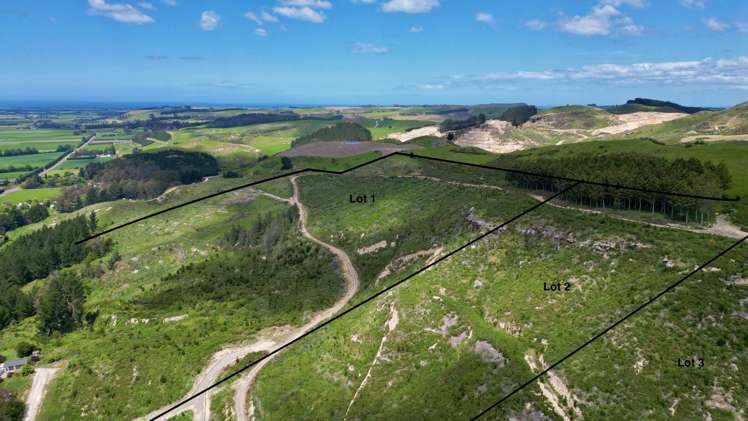 Lot 3 Gaudion Road, Peebles Oamaru_8