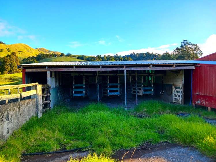 92 Takahue Saddle Road Takahue_36