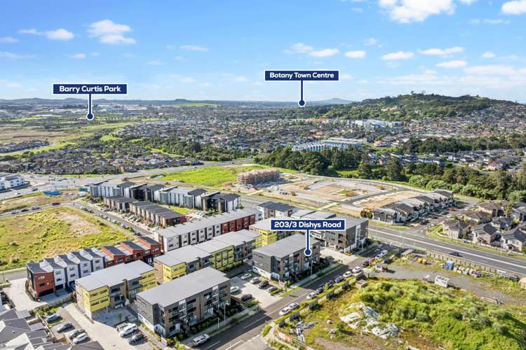 203/3 Dishys Road Flat Bush_12