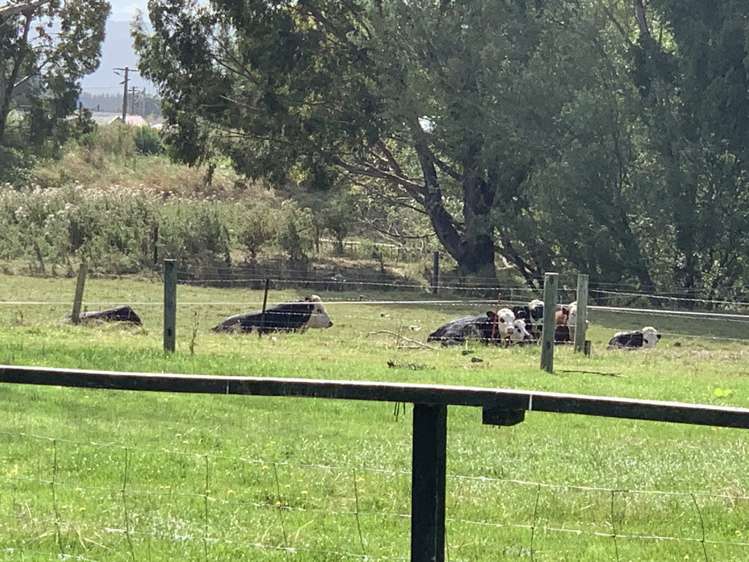 2 Nelson Street Milton_16