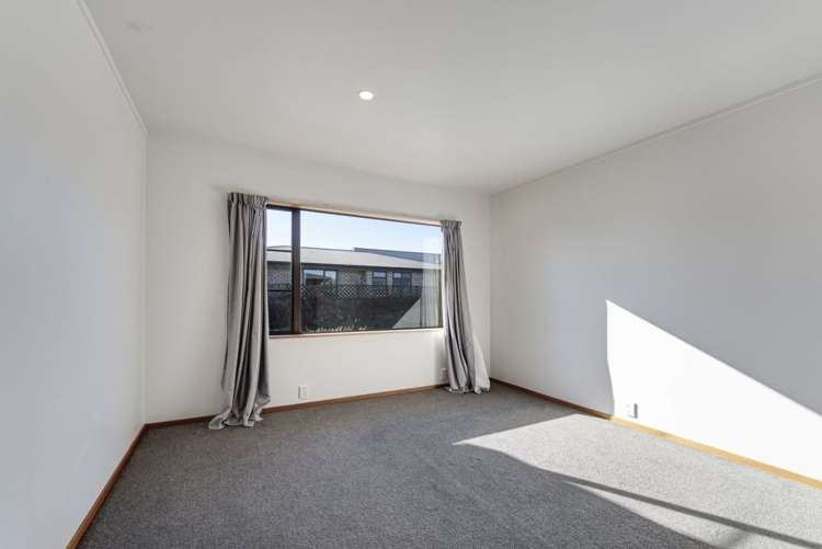 389 Nayland Road Stoke_7