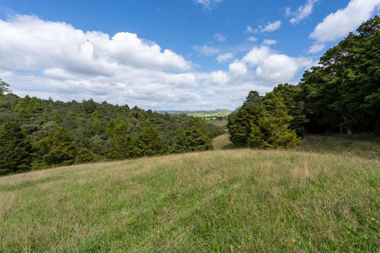 229 Hupara Road Pakaraka_10