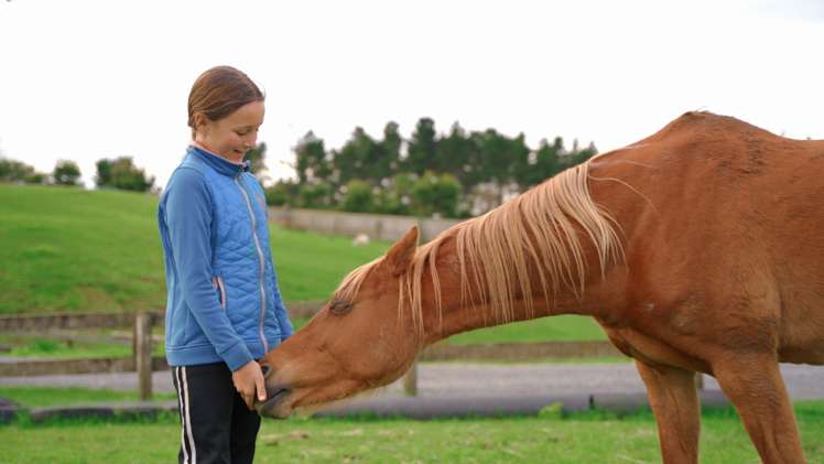 867 Whitford-Maraetai Road Beachlands_72