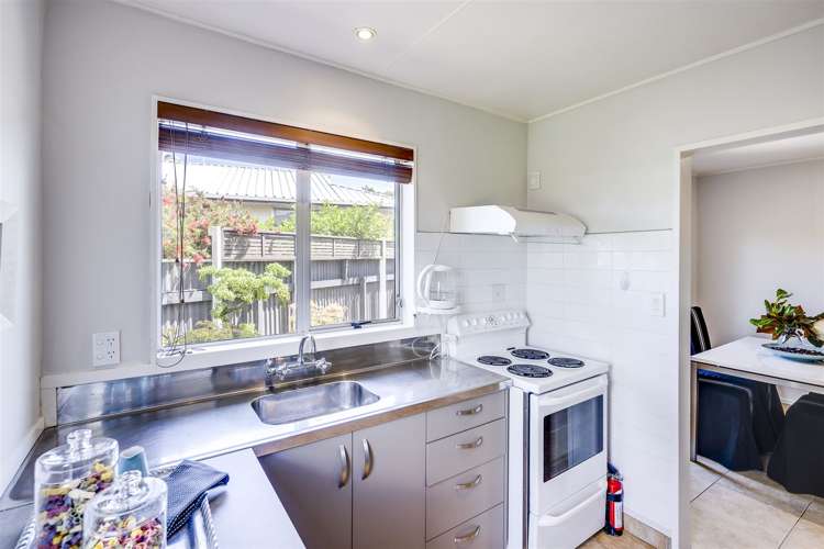 1 Norfolk Street Tamatea_8