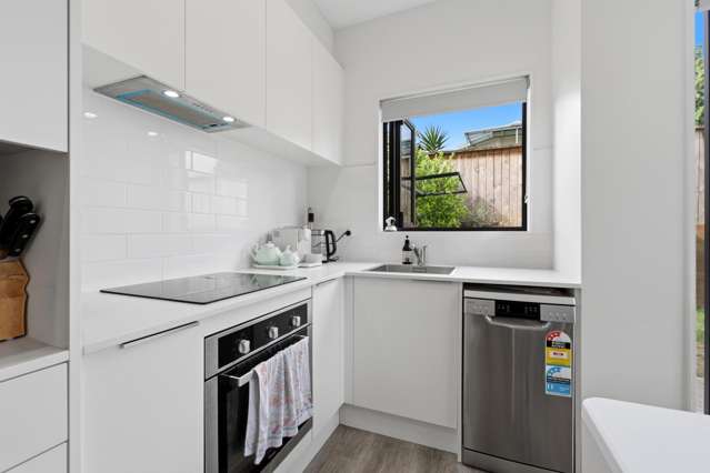 17E East Street Pukekohe_2