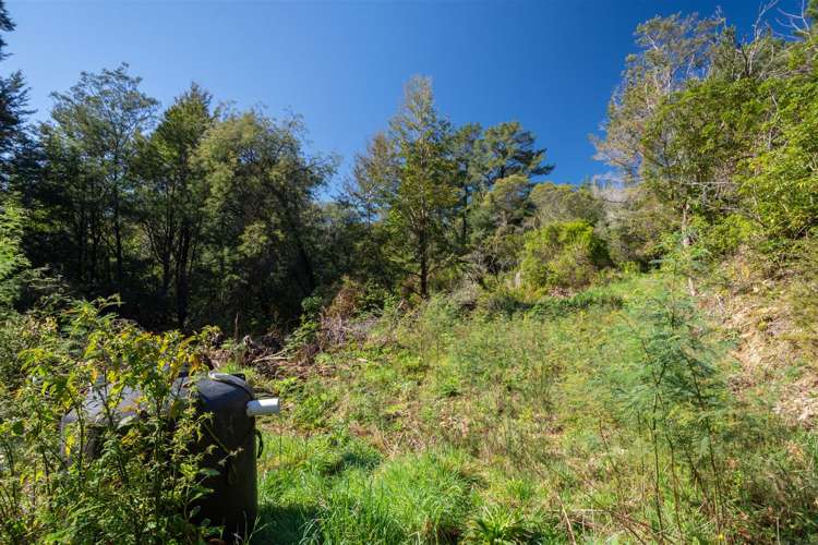 1000 Wakamarina Road Havelock_12