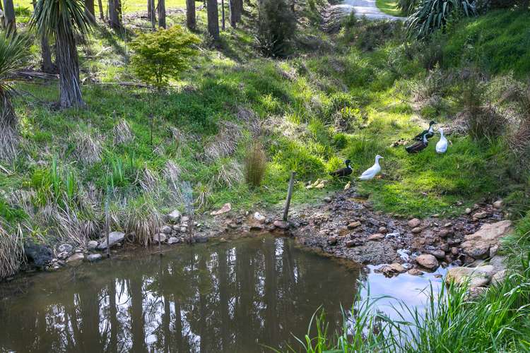 849 Blueskin Road Mount Cargill_24